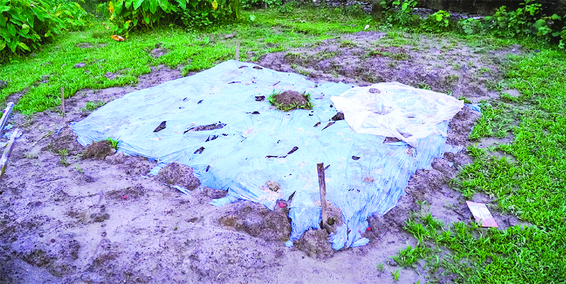 Image of আজমত আলী